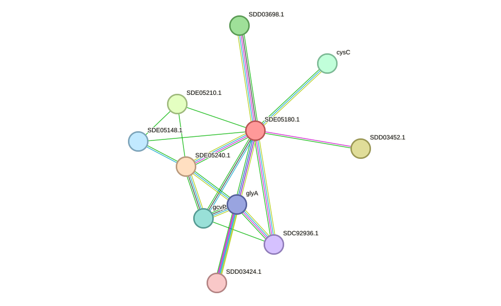 STRING protein interaction network