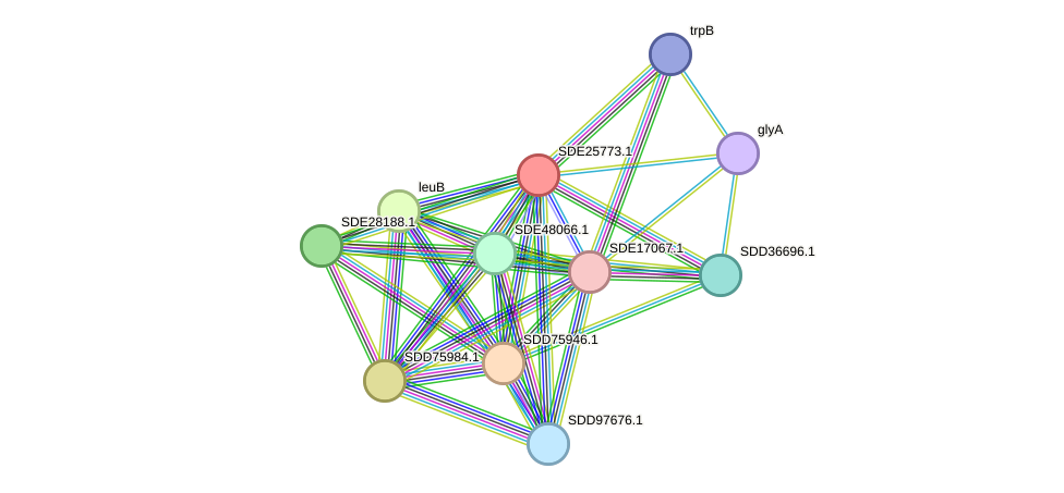 STRING protein interaction network