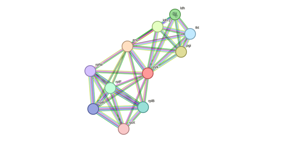 STRING protein interaction network