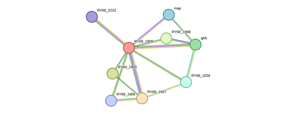 STRING protein interaction network