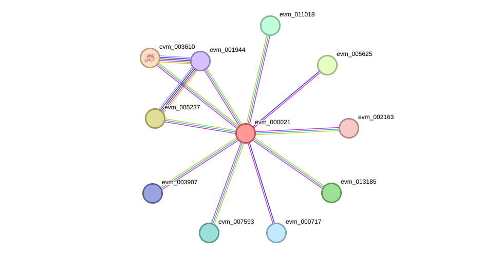 STRING protein interaction network