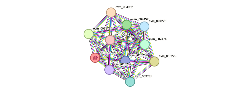 STRING protein interaction network