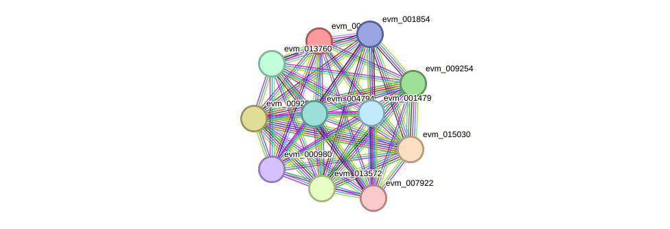 STRING protein interaction network