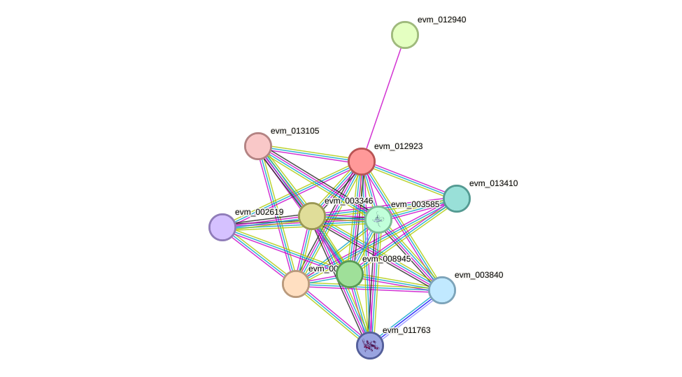 STRING protein interaction network