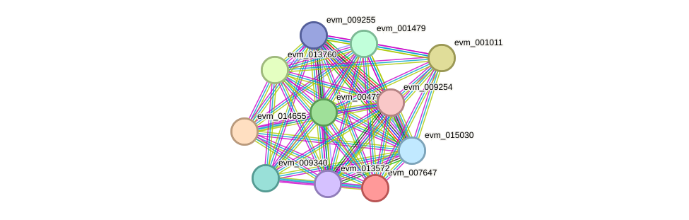 STRING protein interaction network