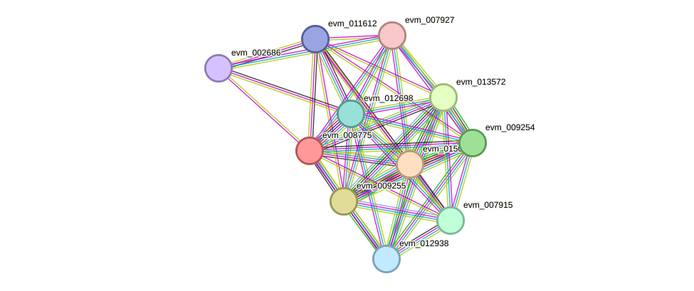 STRING protein interaction network