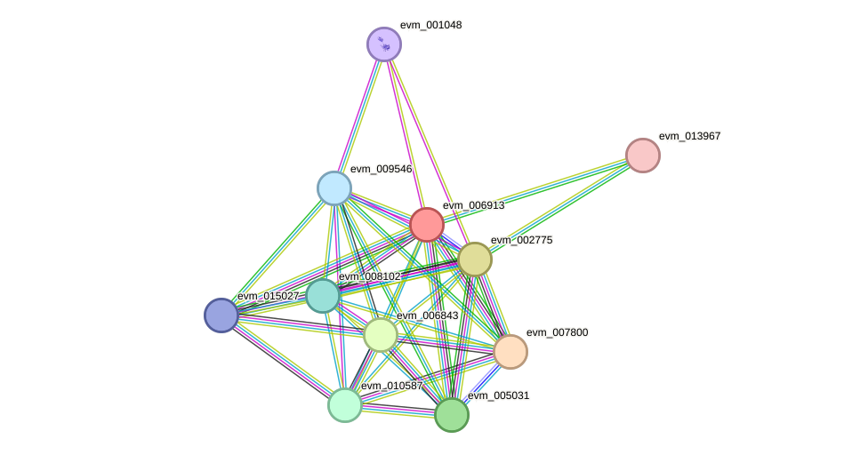 STRING protein interaction network