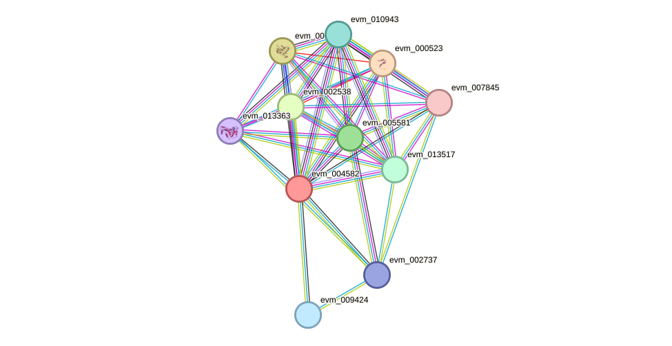 STRING protein interaction network