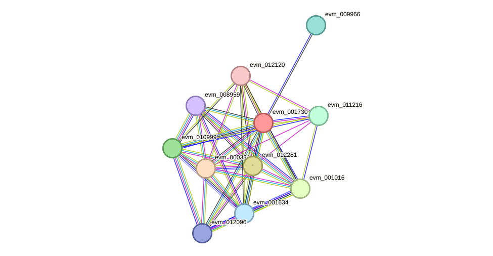 STRING protein interaction network