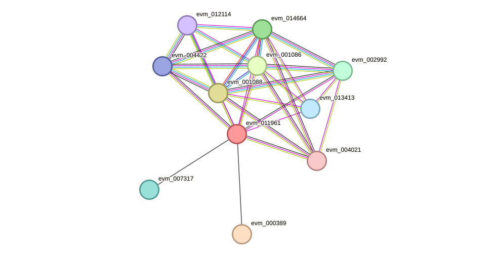 STRING protein interaction network