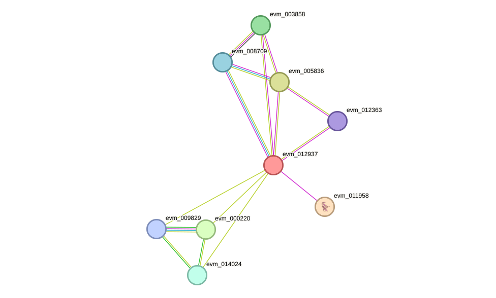 STRING protein interaction network