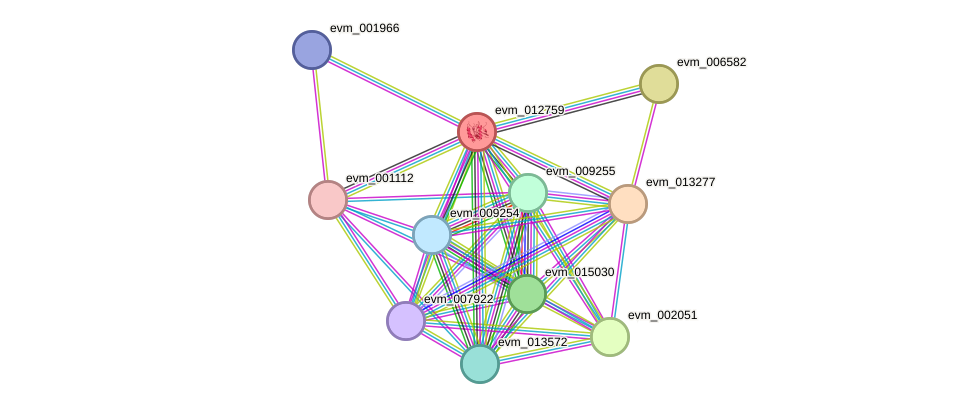 STRING protein interaction network