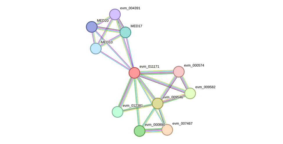 STRING protein interaction network