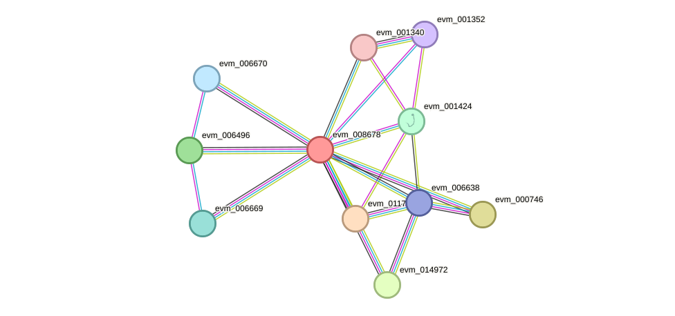 STRING protein interaction network