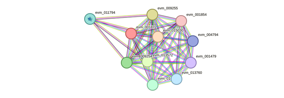 STRING protein interaction network