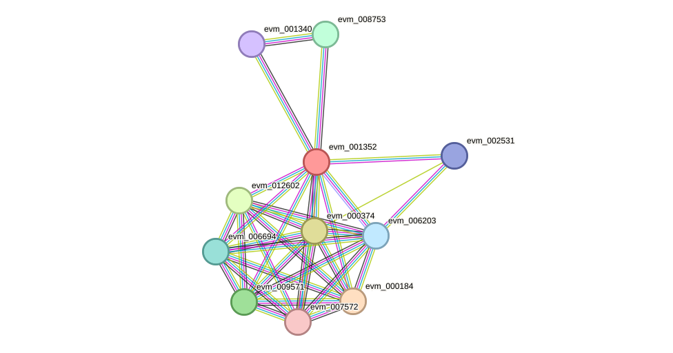 STRING protein interaction network