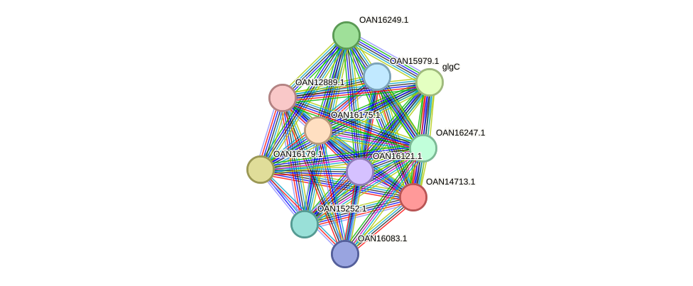 STRING protein interaction network