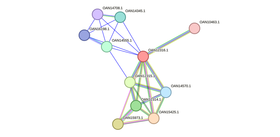 STRING protein interaction network