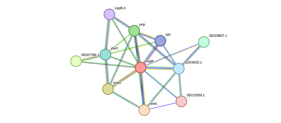 STRING protein interaction network