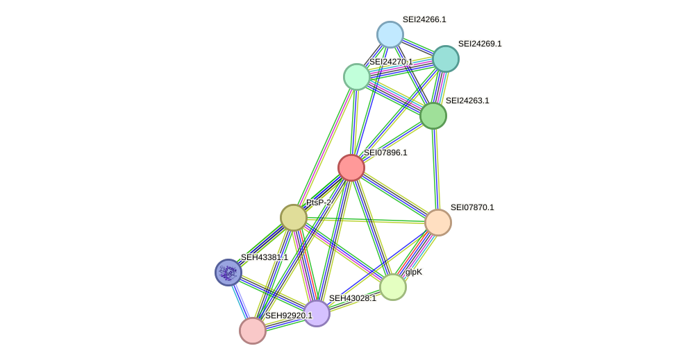 STRING protein interaction network