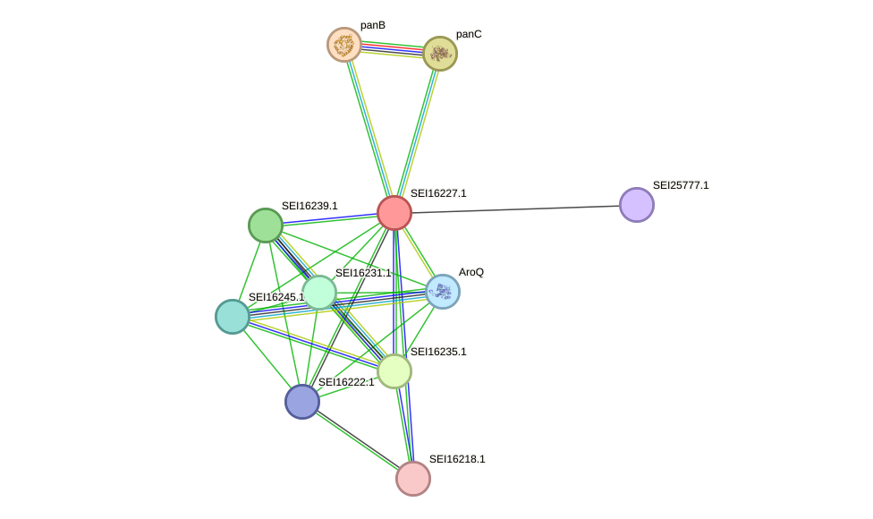 STRING protein interaction network