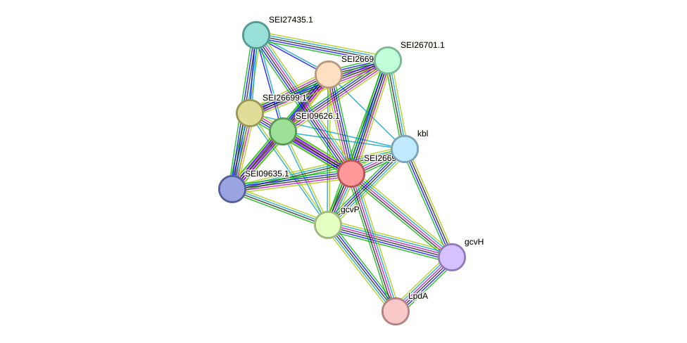 STRING protein interaction network