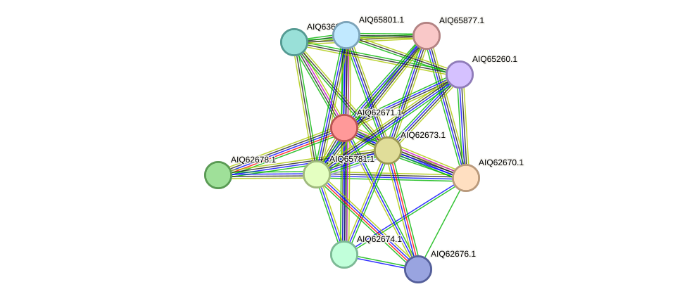 STRING protein interaction network