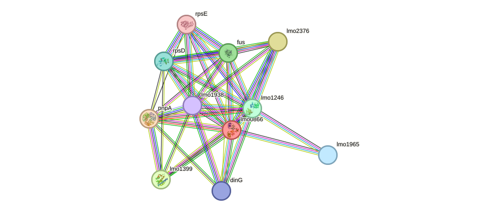 STRING protein interaction network