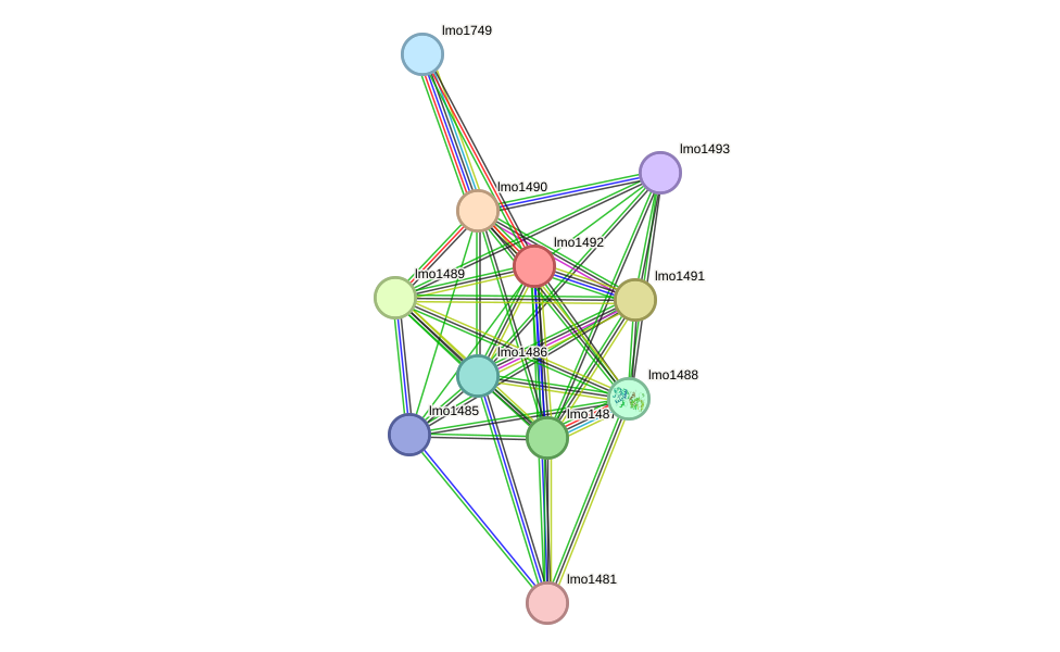 STRING protein interaction network