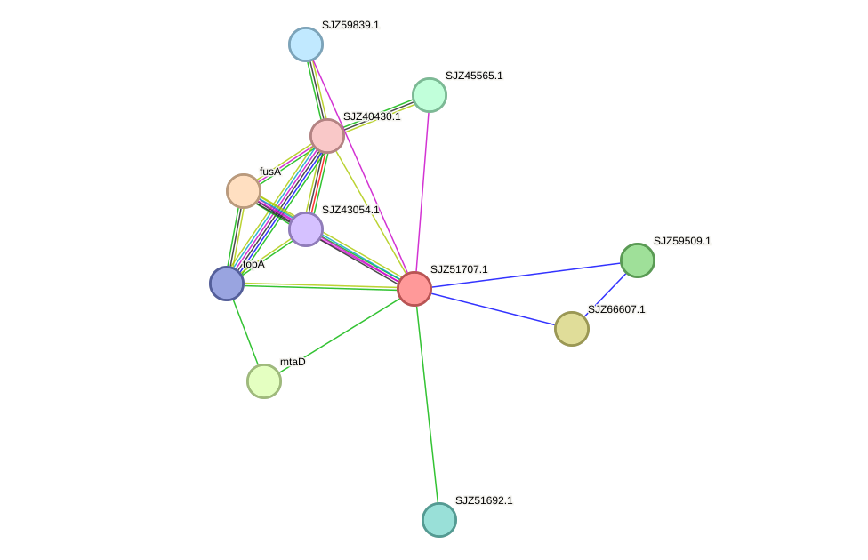 STRING protein interaction network