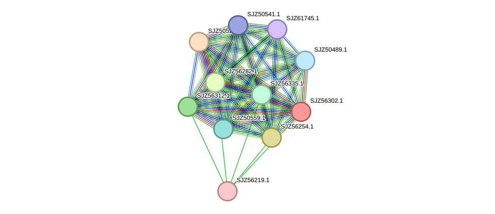 STRING protein interaction network