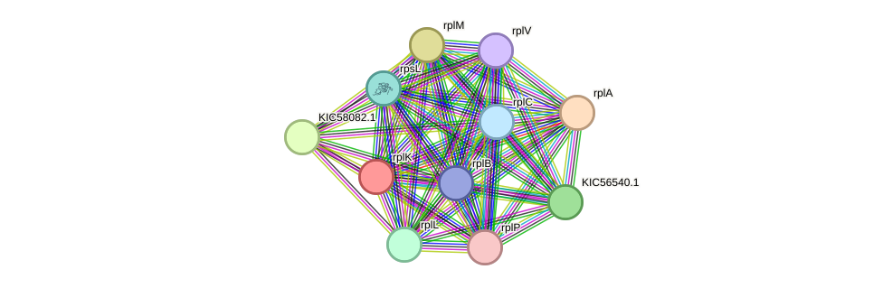 STRING protein interaction network