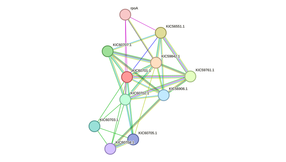 STRING protein interaction network