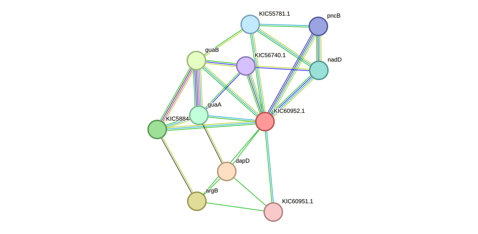 STRING protein interaction network