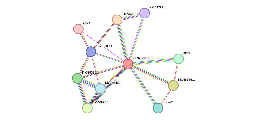 STRING protein interaction network
