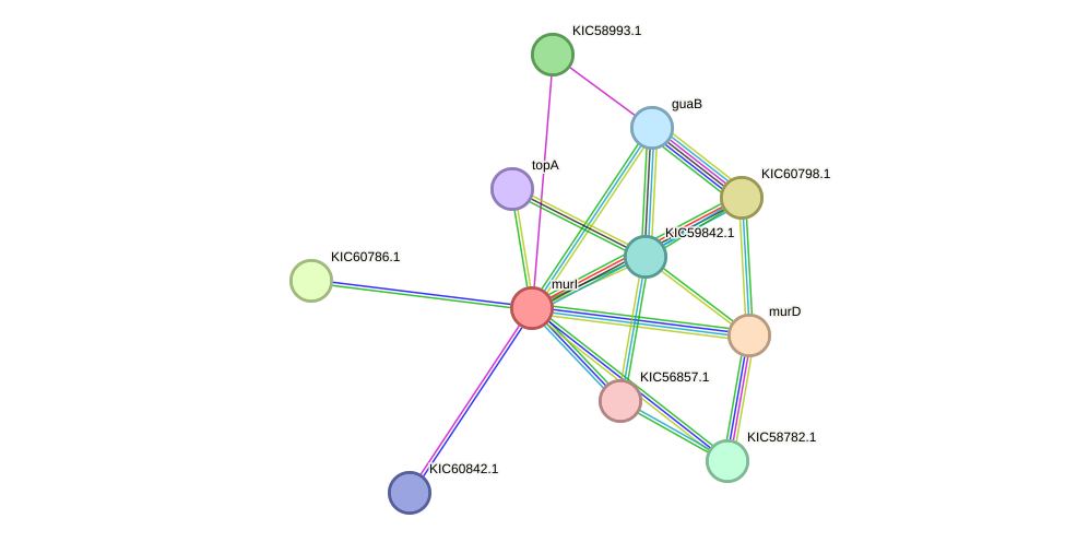 STRING protein interaction network