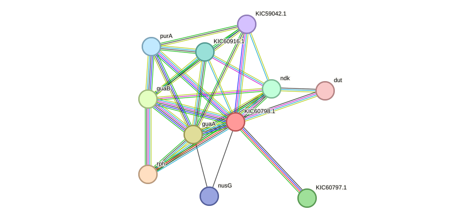 STRING protein interaction network