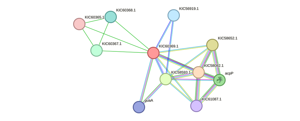 STRING protein interaction network