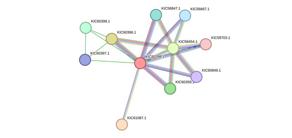 STRING protein interaction network