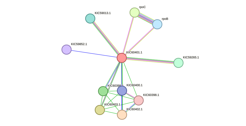 STRING protein interaction network