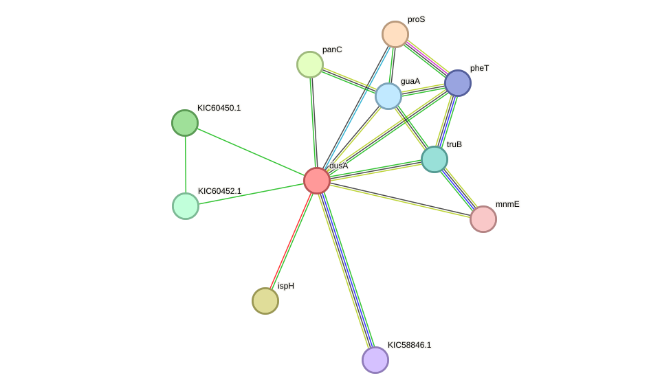STRING protein interaction network