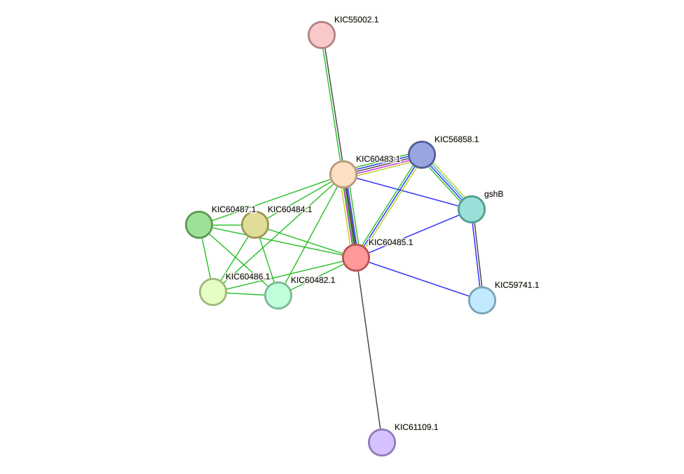 STRING protein interaction network