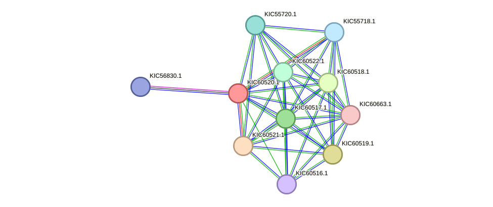 STRING protein interaction network