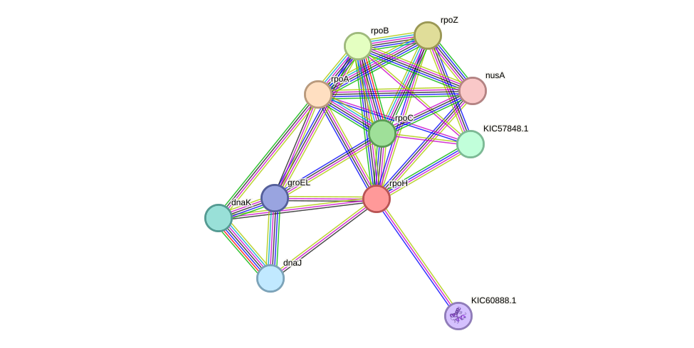 STRING protein interaction network