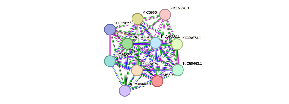 STRING protein interaction network