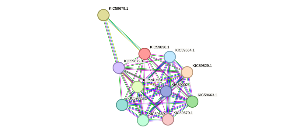 STRING protein interaction network