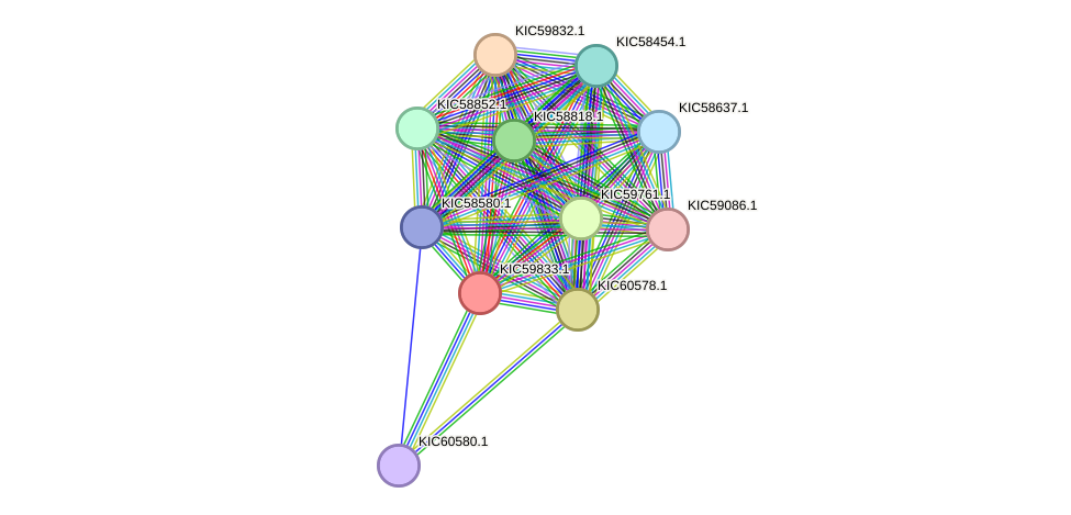 STRING protein interaction network
