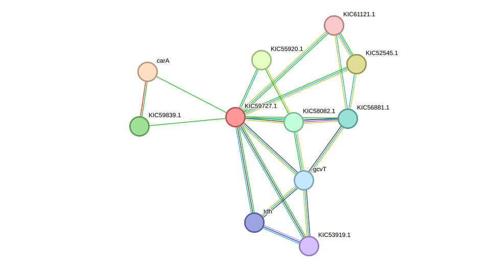 STRING protein interaction network