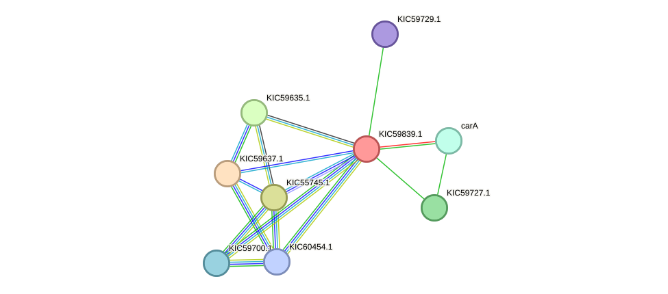 STRING protein interaction network
