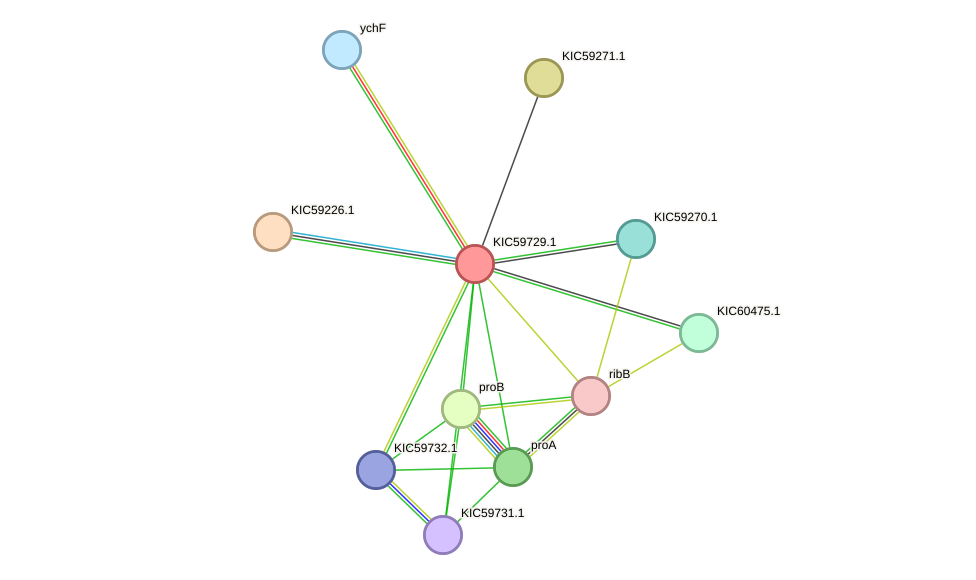 STRING protein interaction network